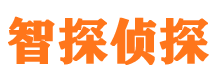 新余市私家侦探